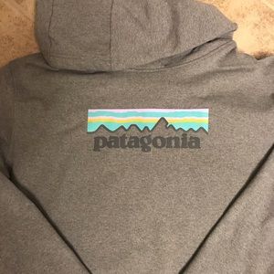 Patagonia hooded sweatshirt